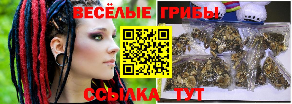 Псилоцибиновые грибы Cubensis Кызыл